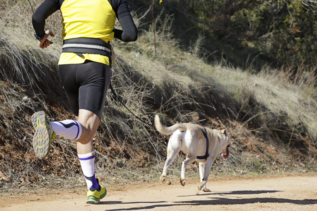 Sport Canin Canicross Sport Canin Canicross