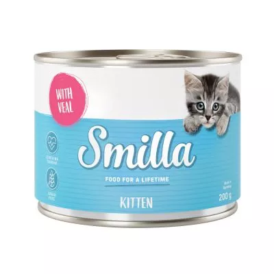 Smilla Kitten ntritie British Shorthair