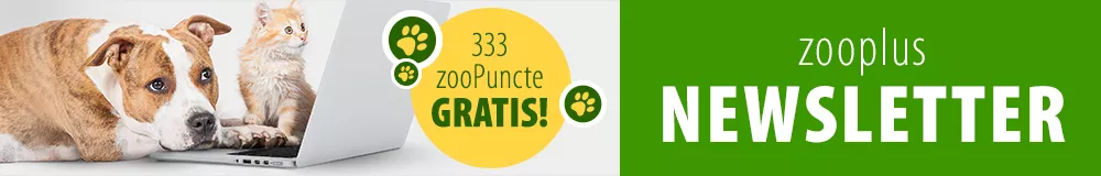 zooplus RO Abonare newsletter Martie 2021 Desktop