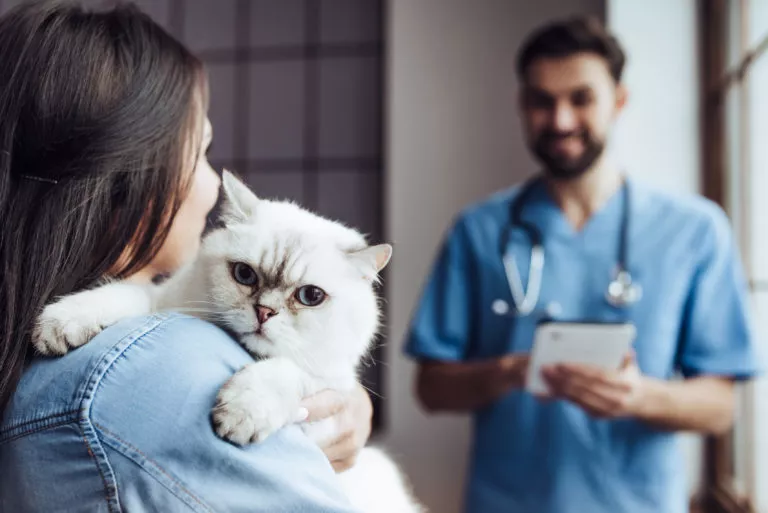 Stapan cu pisica la veterinar