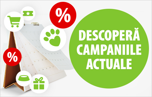 Campanii curente