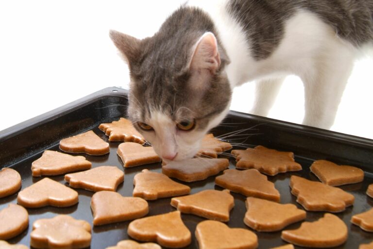 tava cu biscuiti de casa pentru pisici