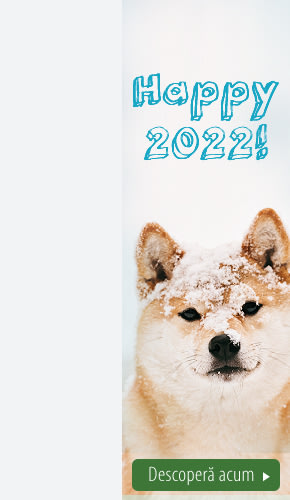 2022_01_Wintersale_Left_290x500_RO