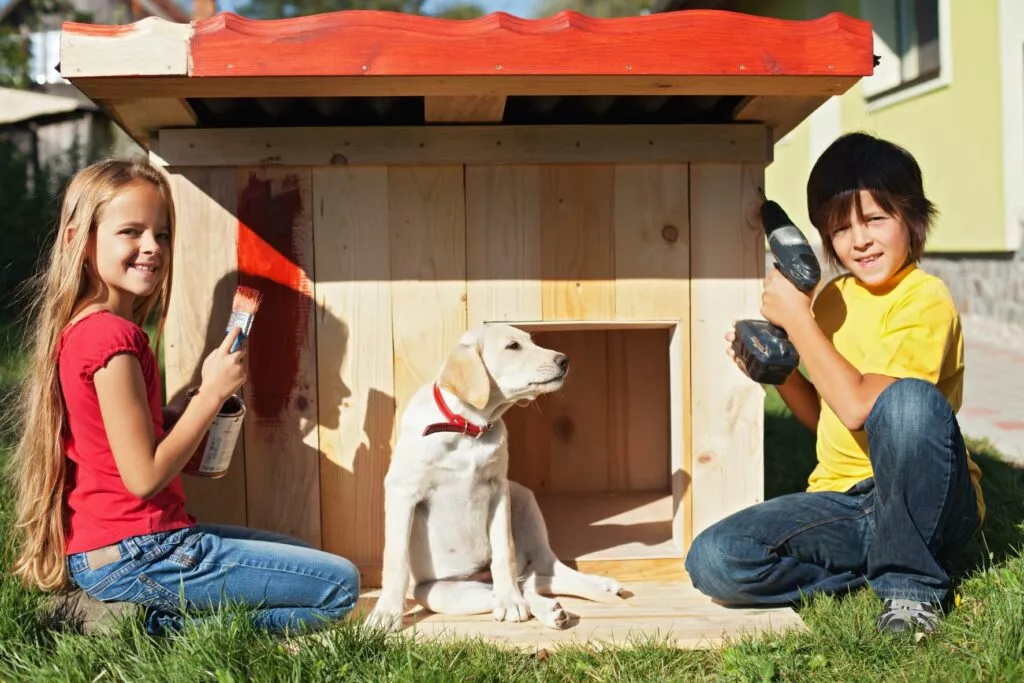 doi copii construiesc o cușcă de câine