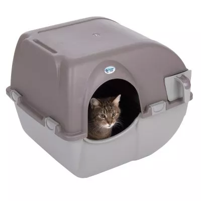Pisică tărcată într-o litieră acoperită pentru pisici