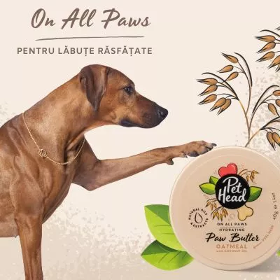 Balsam pentru labute caini, produs pentru ingrijirea pielii cainilor, produs ingrijire pentru caini, creama pentru caini
