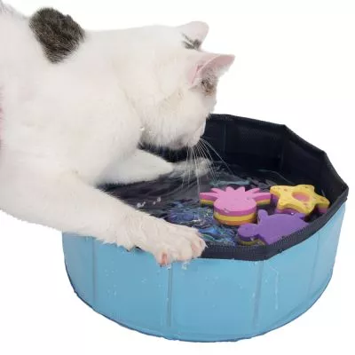Pisica alba care se joaca cu labutele intr-o piscina pentru pisici - accesoriu de vară pentru pisici