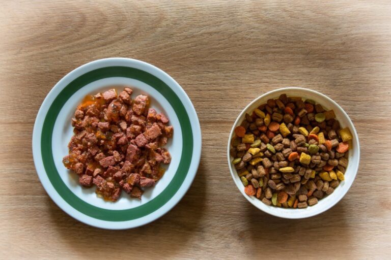 Mâncare uscată sau umedă pentru pisici farmurie si bol pe masa