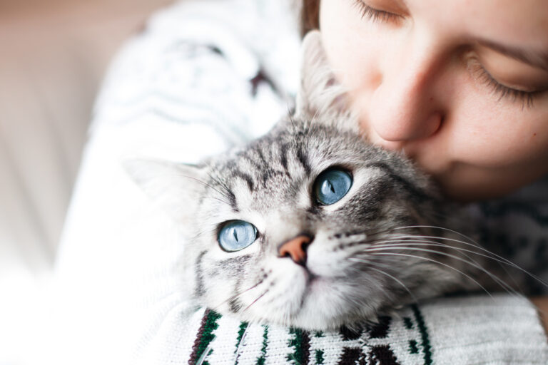 Femeie acasă ținându-și pisica pufoasă. Pisicuță drăguță tabby gri cu ochi albaștri. Animale de companie, prietenie, încredere, dragoste și concept de stil de viață. Prieten al omului. Iubitor de animale.