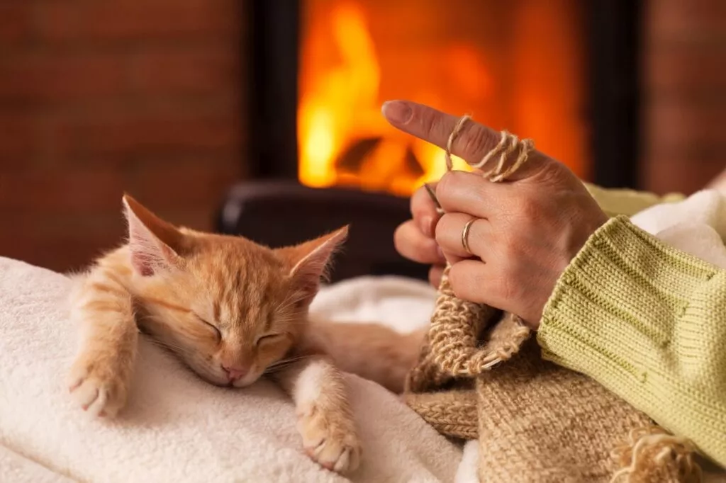 Woman knit in front of the fireplace with her exhausted kitten s Femeia tricotează în fața șemineului cu pisoiul ei epuizat doarme în poală, cu labele întinse în față