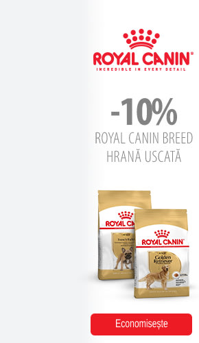 Banner oferta promotionala Royal Canin -10% hrana pentru caini si pisici la zooplus petshop online