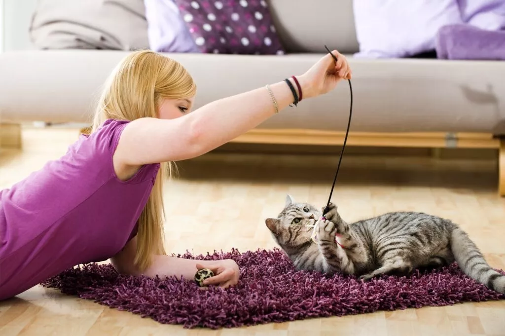 Pisică care se joacă pe jos cu o undiță pentru pisici. Fata stă în stânga imaginii și pisica stă în dreapta pe jos