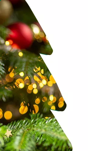 2023_09_Xmas_General_Right_290x500_RO