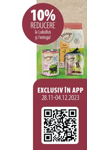 2023_11_App_Exclusive_Campaign_Feringa_Lukullus_Left_290x500_RO__1_