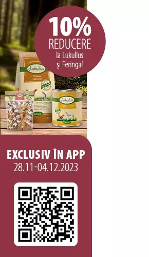 2023_11_App_Exclusive_Campaign_Feringa_Lukullus_Right_290x500_RO