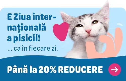 international cat day 2025