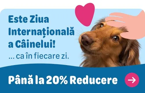 dogday2025