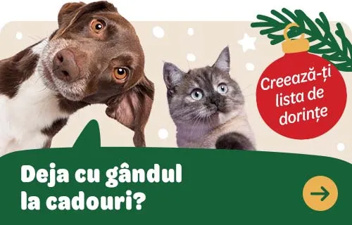 xmas soft lunch 2025