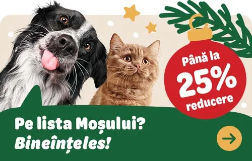 xmas soft lunch 2025